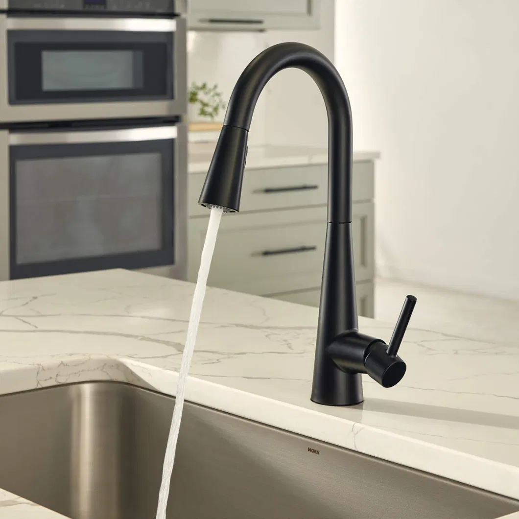 Aquacubic 2021 American Standard Modern Type Pull Down Stainless Steel Faucet Kitchen Black