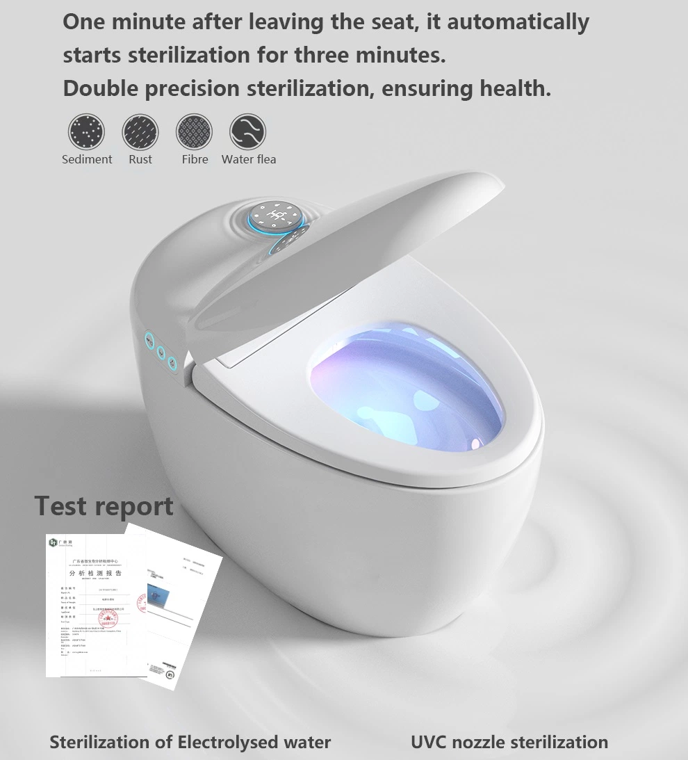 Latest Design Toilet Bowl Egg Shape Smart Toilet