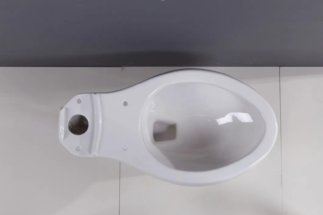Sanitary Ware Bathroom Tank Siphon Wc Toilet Blanco Inodoro