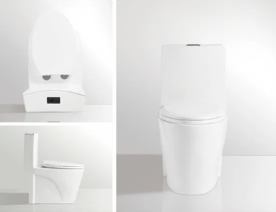 Ortonbath American Modern High Standards Toilet Cheap Sanitary Ware Ceramic Wc Commode Siphonic S