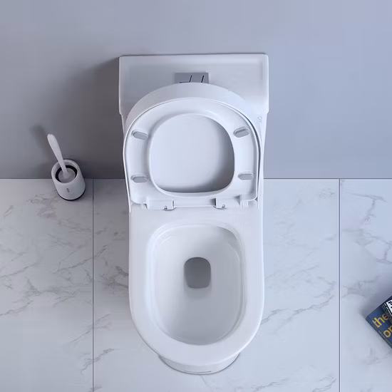 Two Piece Toilet Luxury P
